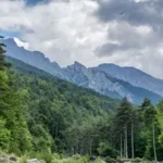 Δάση στον Όλυμπο / Φωτογραφικό αρχείο ΕΚΒΥ