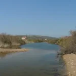 Έλος Κώμης / Νίκος Γεωργιάδης, © 2013 WWF Greece