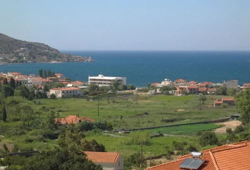 Έλος Λήμνος ή Βάλτος Μαρμάρου | Φωτ. Γιώργος Κατσαδωράκης, © 2013 WWF Greece