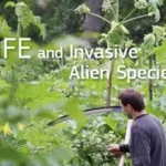 Η έκδοση "LIFE and Invasive Alien Species"